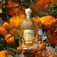 AQUA ALLEGORIA MANDARINA BASILIC spray de eau de parfum 125 ml. Fashion